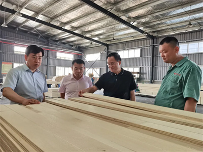 攜手共進(jìn)，共筑未來——熱烈歡迎中國(guó)木材保護(hù)工業(yè)協(xié)會(huì)會(huì)長(zhǎng)劉能文一行蒞臨福慶參觀考察指導(dǎo)